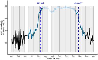 Seasonality in Biological Rhythms in Scandinavian brown Bears